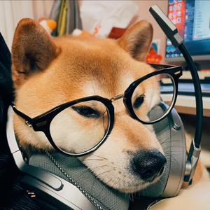 苍井空被实干潮喷
