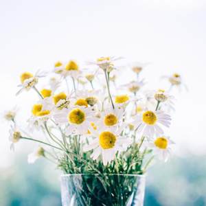 苍井空被实干潮喷
